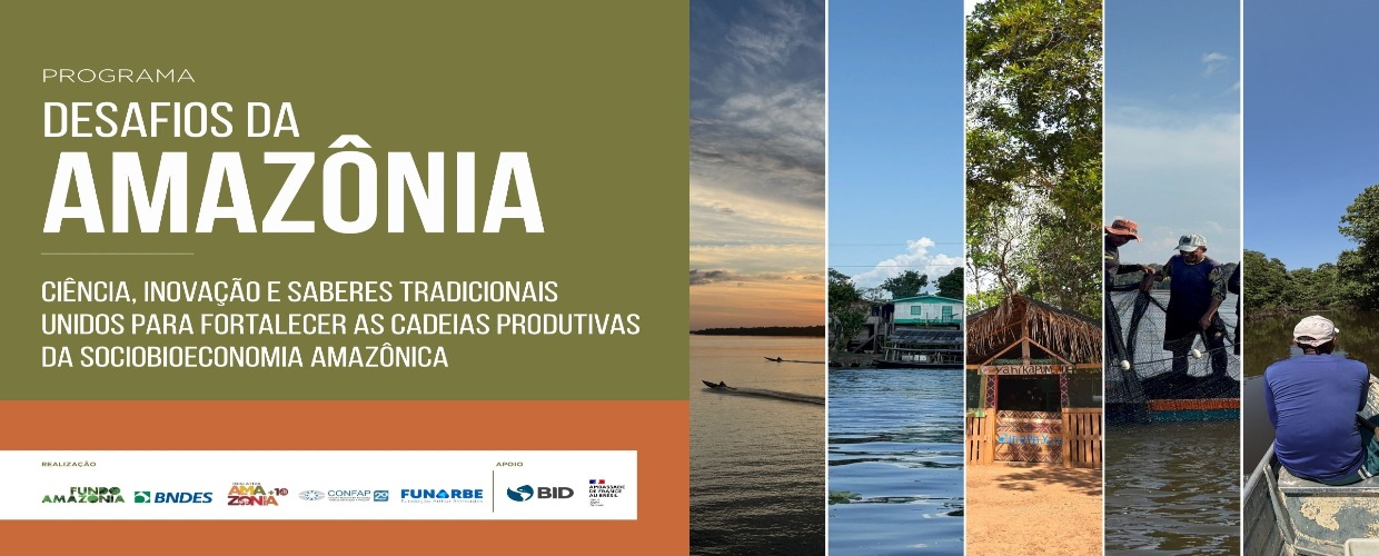 Iniciativa Amazônia+10 lança chamada de R$ 107 milhões para fortalecer sociobioeconomia da Amazônia