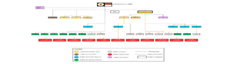 Organização