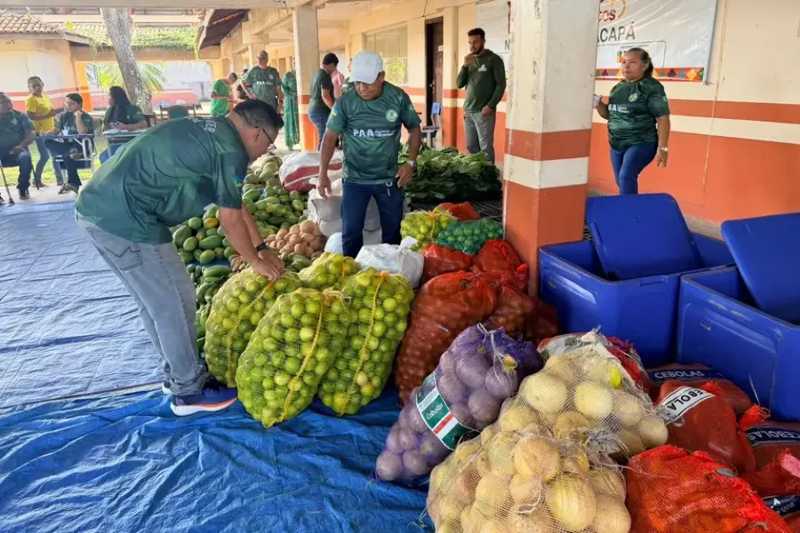 Governo do Amapá amplia investimentos no PAA e fortalece agricultura familiar em todo o estado