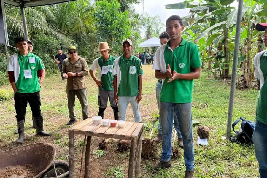 Governo do Amapá participa de Dia de Campo e fortalece a difusão de tecnologias para a bananicultura no Pacuí