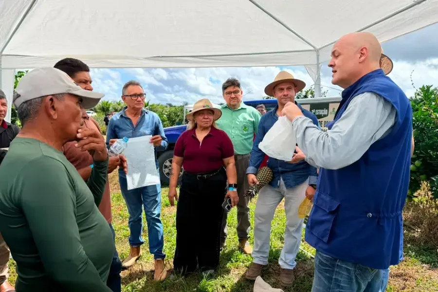 Governo do Amapá leva assistência técnica ao campo e fortalece a produção de abacaxi em Porto Grande