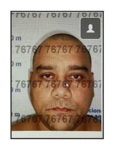 Thiago Pantoja Pinheiro