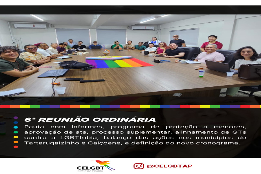 6ª Reunião ordinária do CELGBT/AP