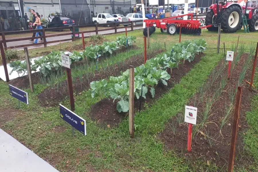 Agricultura familiar movimenta mais de R$ 124 mil e recebe novos investimentos na 54ª Expofeira do Amapá